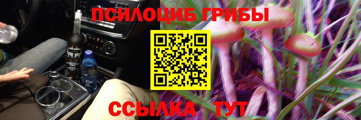 Псилоцибиновые грибы GOLDEN TEACHER Тобольск